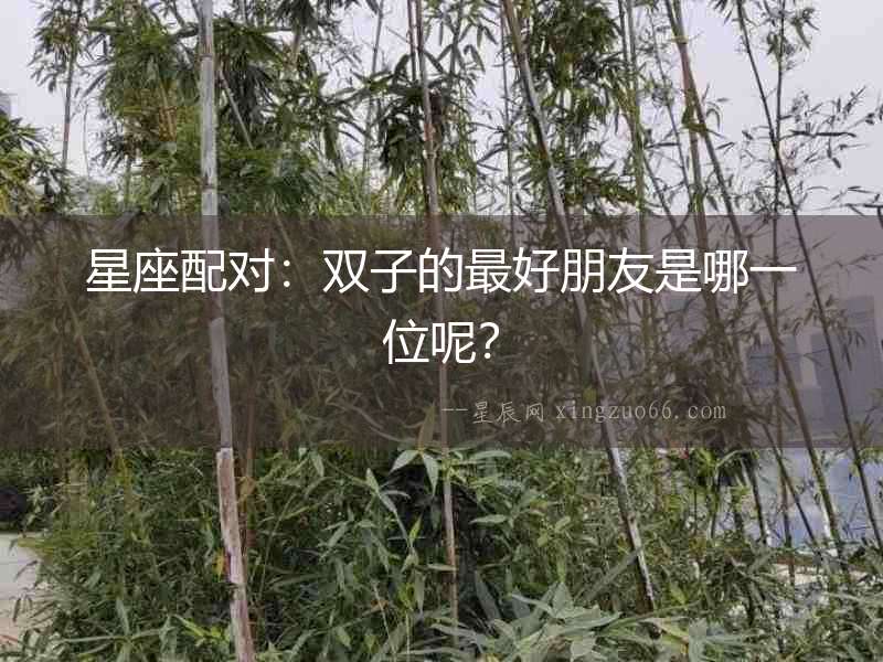 星座配對：雙子的最好朋友是哪一位呢？
