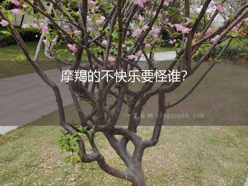 摩羯的不快樂要怪誰？