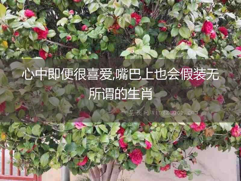 心中即便很喜愛,嘴巴上也會假裝無所謂的生肖