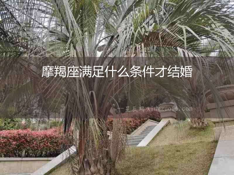 摩羯座滿足什么條件才結婚