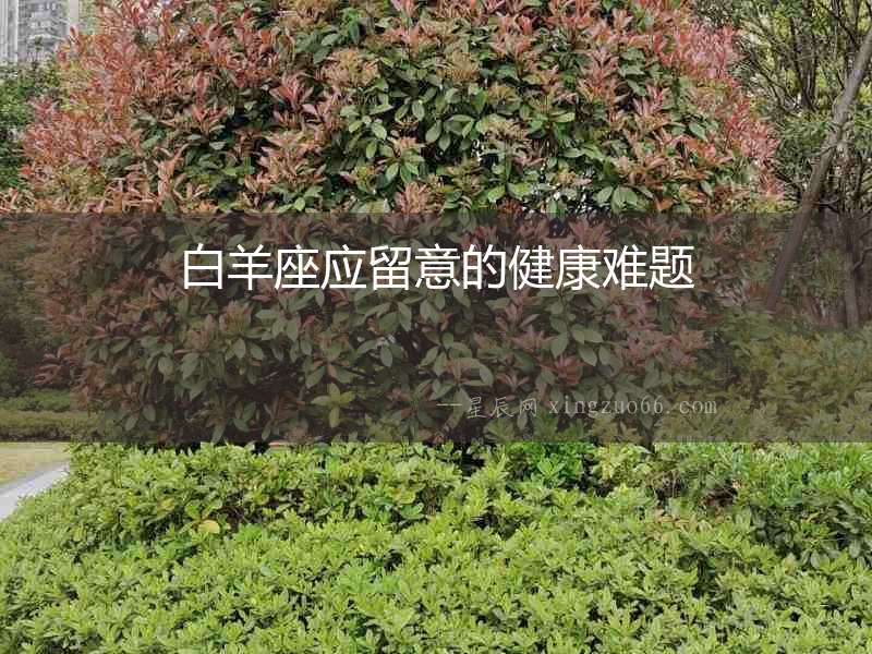 白羊座應留意的健康難題