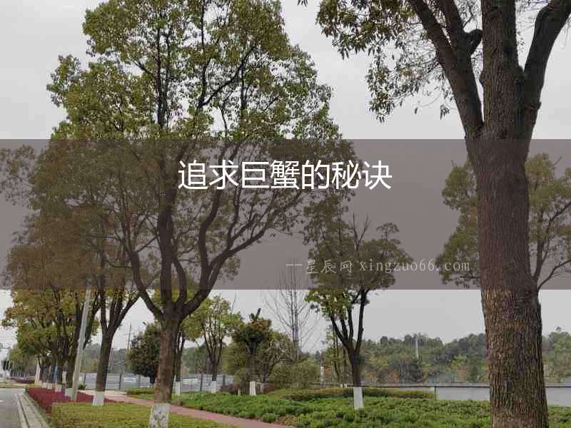 追求巨蟹的秘訣