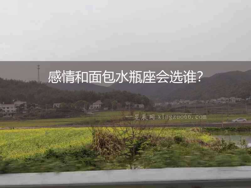 感情和面包水瓶座會選誰？