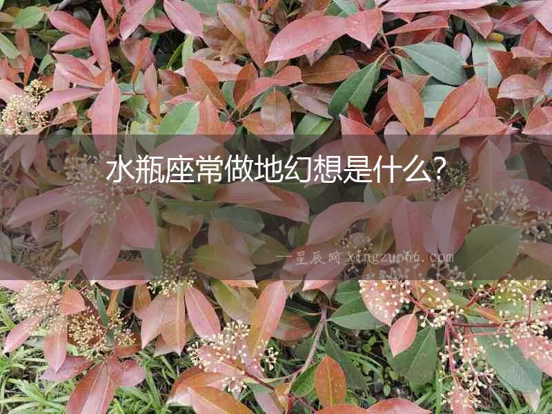 水瓶座常做地幻想是什么？