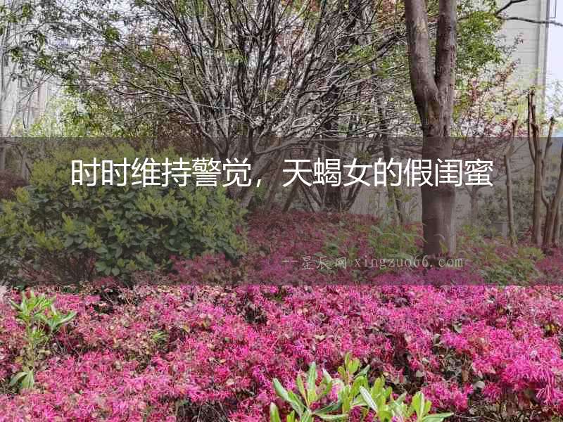 時時維持警覺，天蝎女的假閨蜜