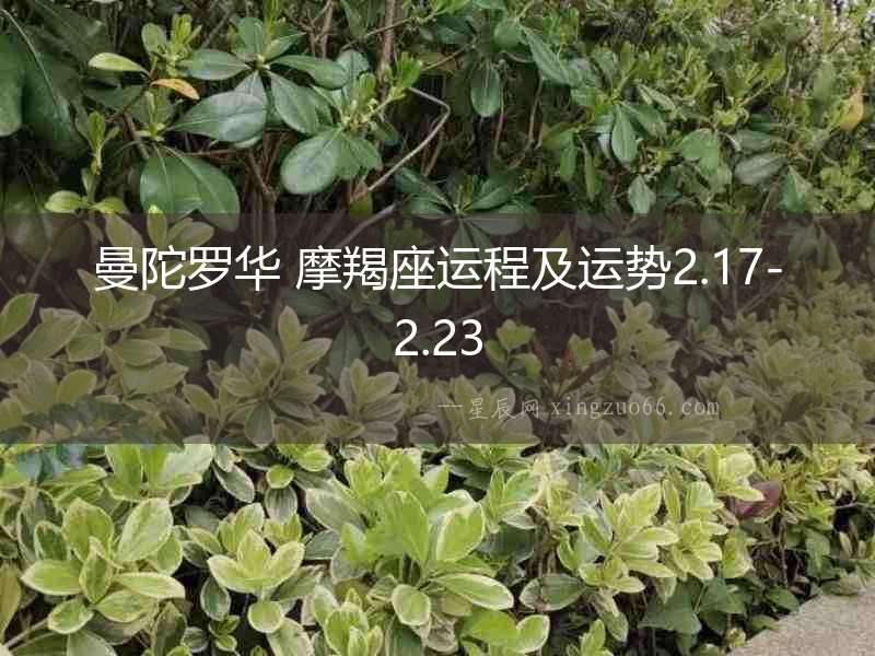曼陀羅華 摩羯座運程及運勢2.17-2.23