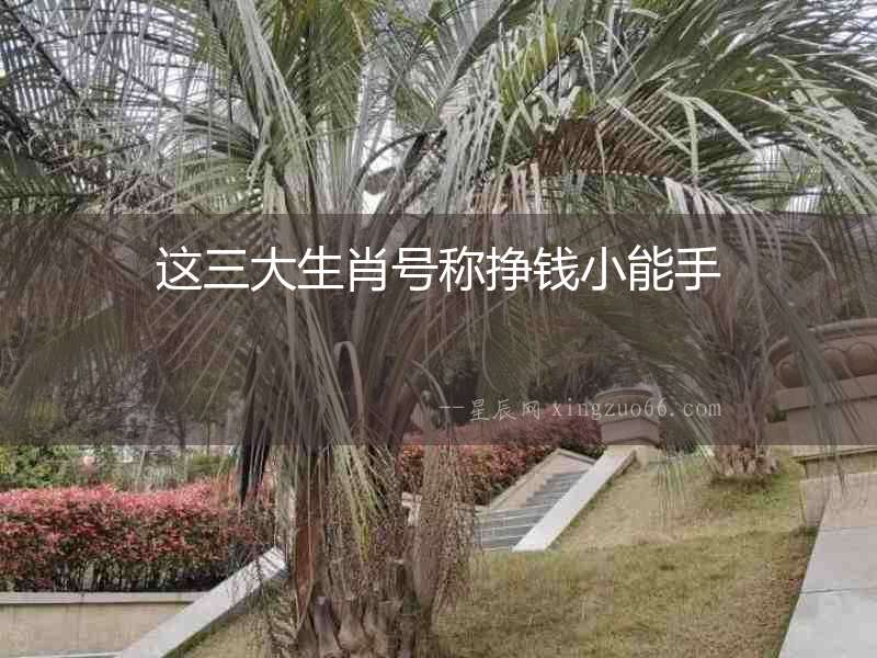 這三大生肖號稱掙錢小能手