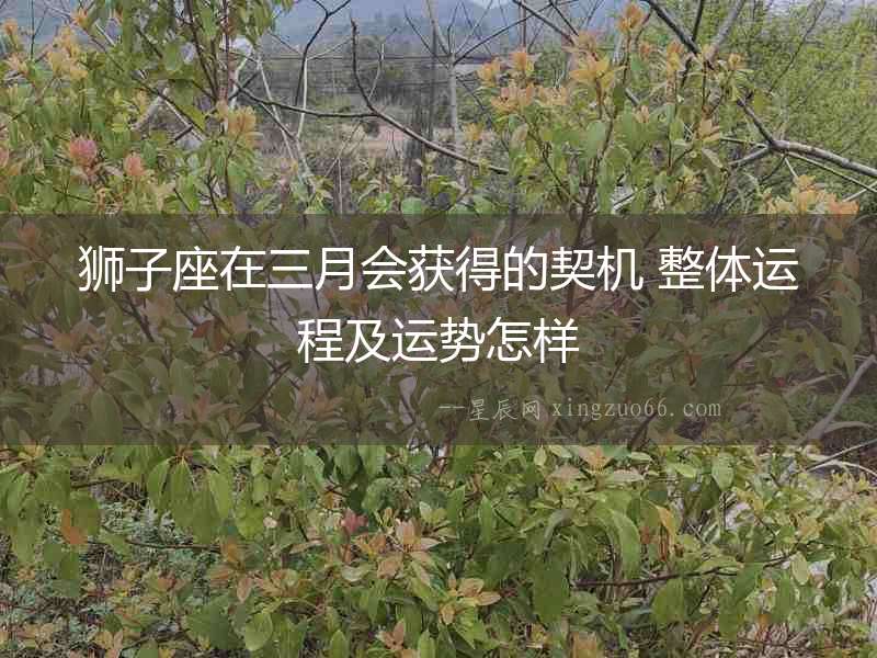 獅子座在三月會(huì)獲得的契機(jī) 整體運(yùn)程及運(yùn)勢怎樣