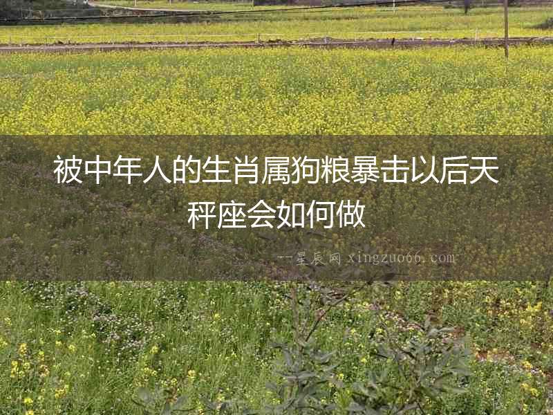 被中年人的生肖屬狗糧暴擊以后天秤座會如何做