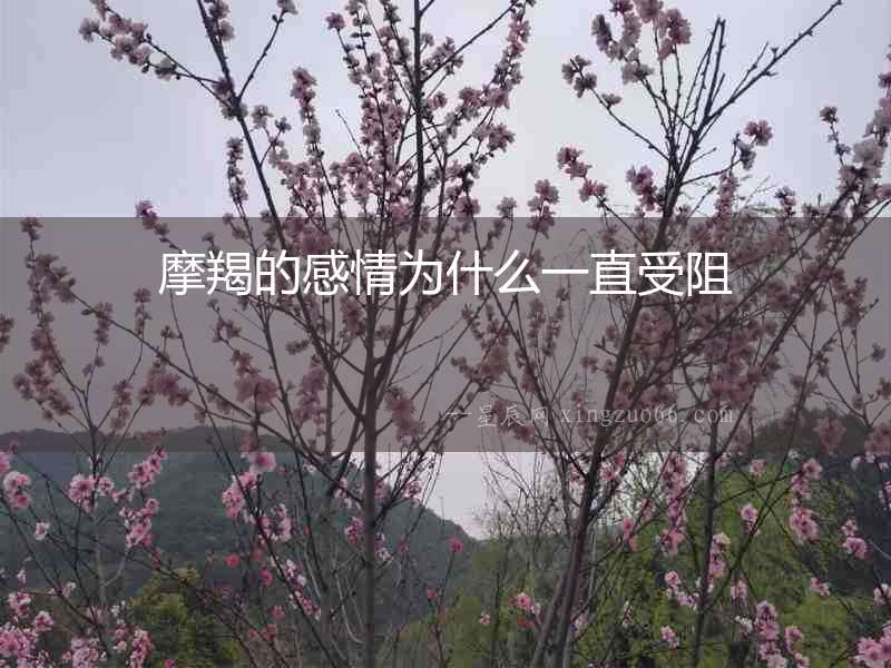摩羯的感情為什么一直受阻