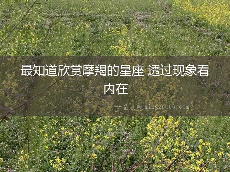 最知道欣賞摩羯的星座 透過現(xiàn)象看內(nèi)在