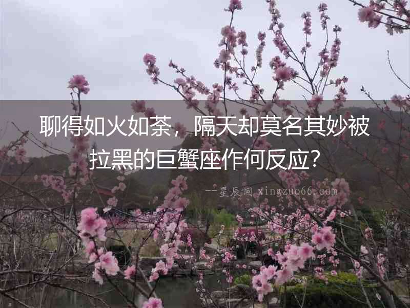 聊得如火如荼，隔天卻莫名其妙被拉黑的巨蟹座作何反應？