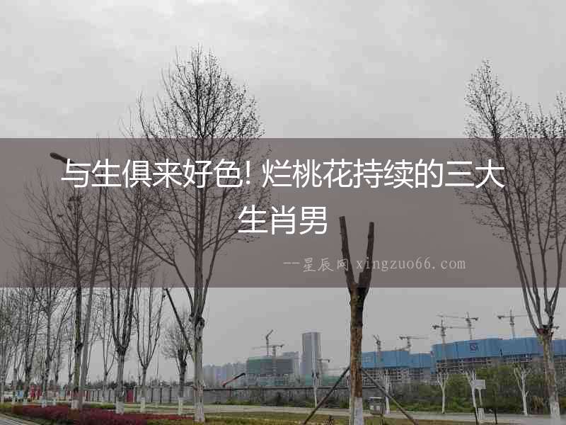 與生俱來好色! 爛桃花持續的三大生肖男