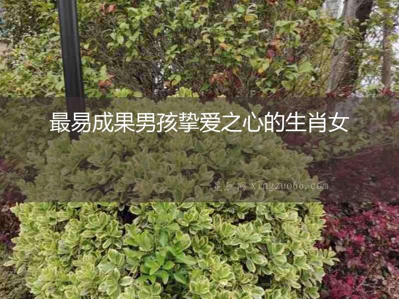 最易成果男孩摯愛之心的生肖女