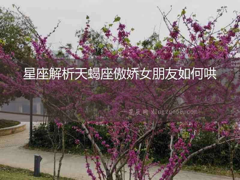星座解析天蝎座傲嬌女朋友如何哄