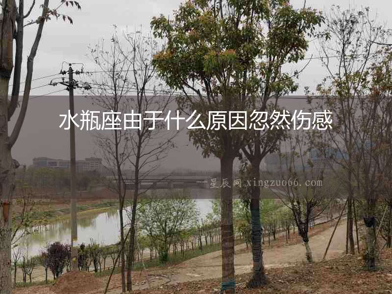 水瓶座由于什么原因忽然傷感