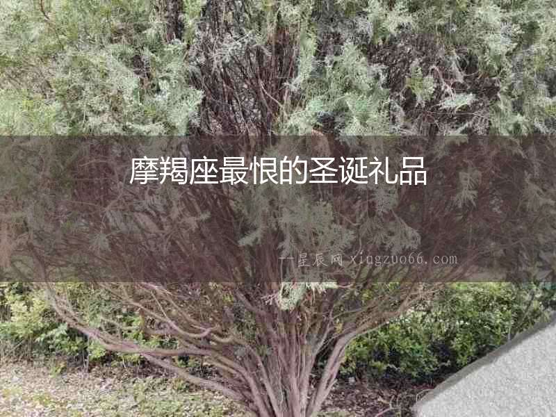 摩羯座最恨的圣誕禮品