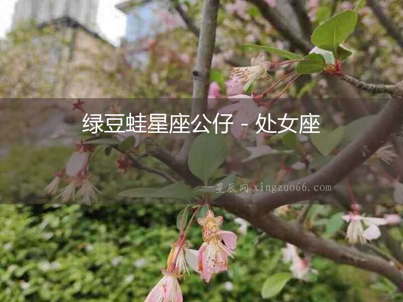 綠豆蛙星座公仔－處女座