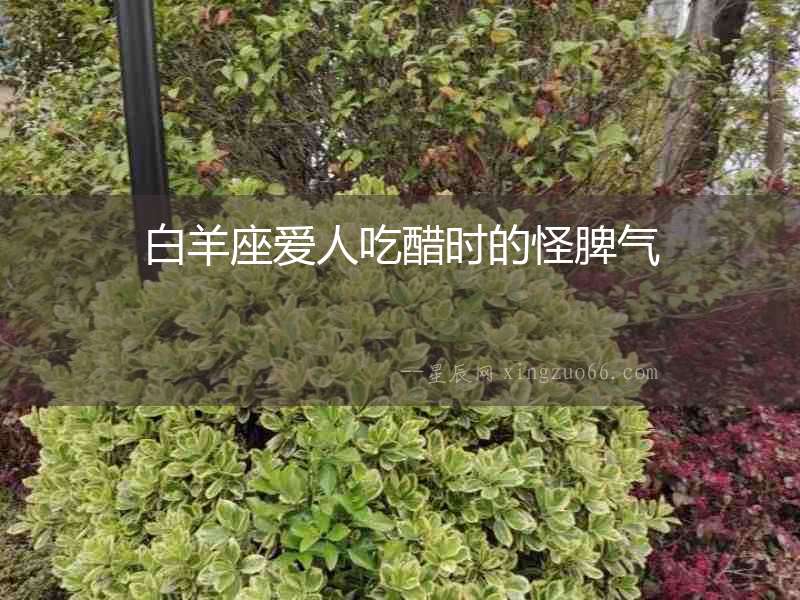 白羊座愛人吃醋時的怪脾氣