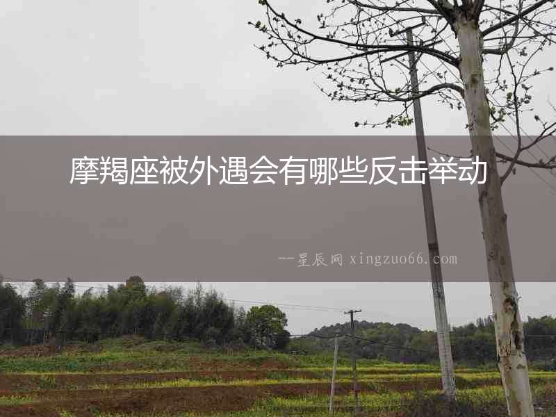 摩羯座被外遇會有哪些反擊舉動
