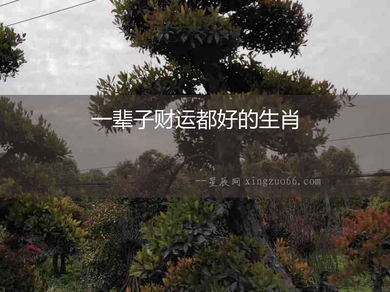 一輩子財(cái)運(yùn)都好的生肖