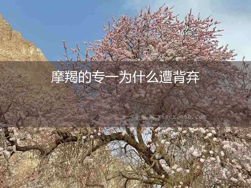 摩羯的專一為什么遭背棄
