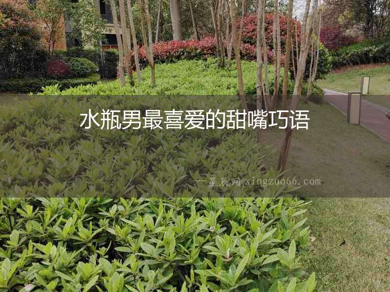 水瓶男最喜愛的甜嘴巧語