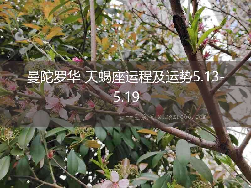 曼陀羅華 天蝎座運(yùn)程及運(yùn)勢(shì)5.13-5.19
