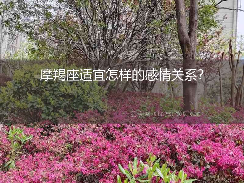 摩羯座適宜怎樣的感情關系？