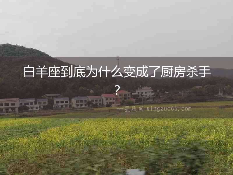 白羊座到底為什么變成了廚房殺手？