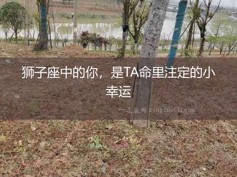 獅子座中的你，是TA命里注定的小幸運