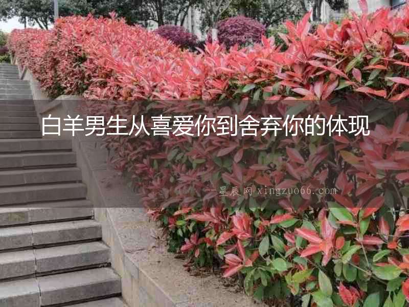 白羊男生從喜愛你到舍棄你的體現