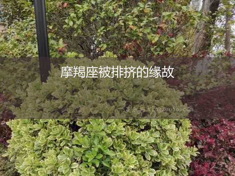 摩羯座被排擠的緣故