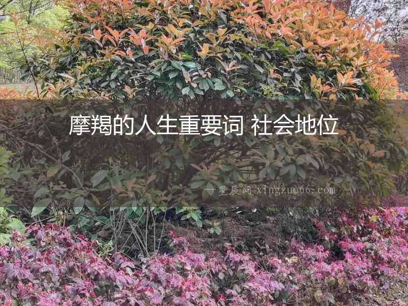 摩羯的人生重要詞 社會(huì)地位
