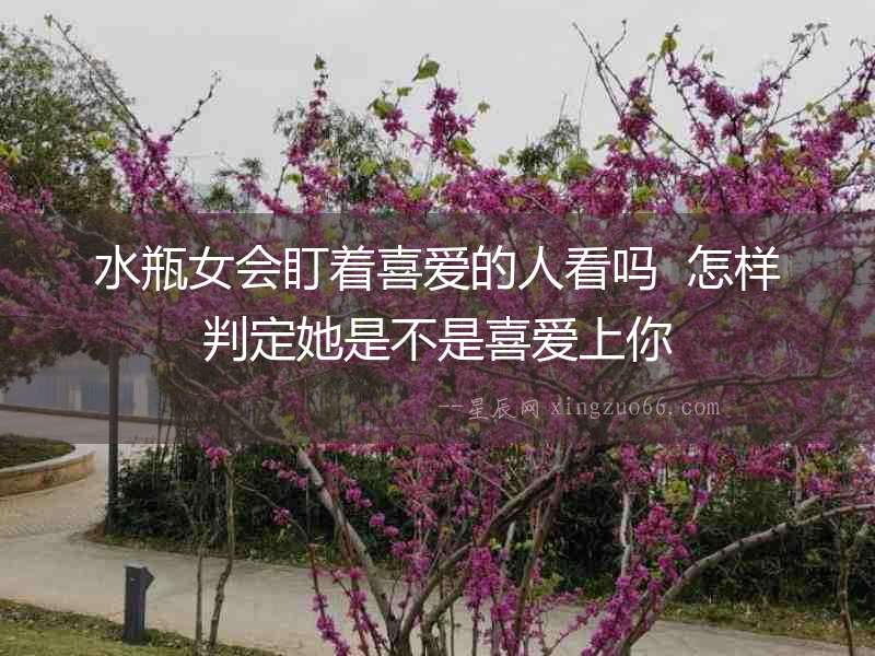水瓶女會盯著喜愛的人看嗎  怎樣判定她是不是喜愛上你