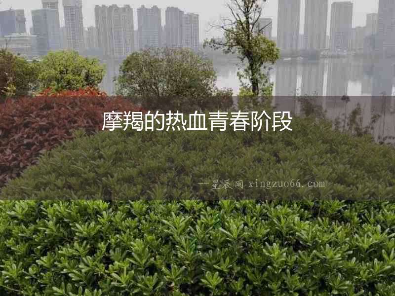 摩羯的熱血青春階段