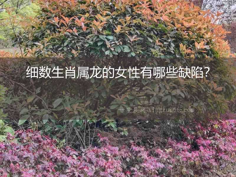 細數生肖屬龍的女性有哪些缺陷？