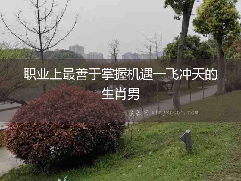 職業上最善于掌握機遇一飛沖天的生肖男