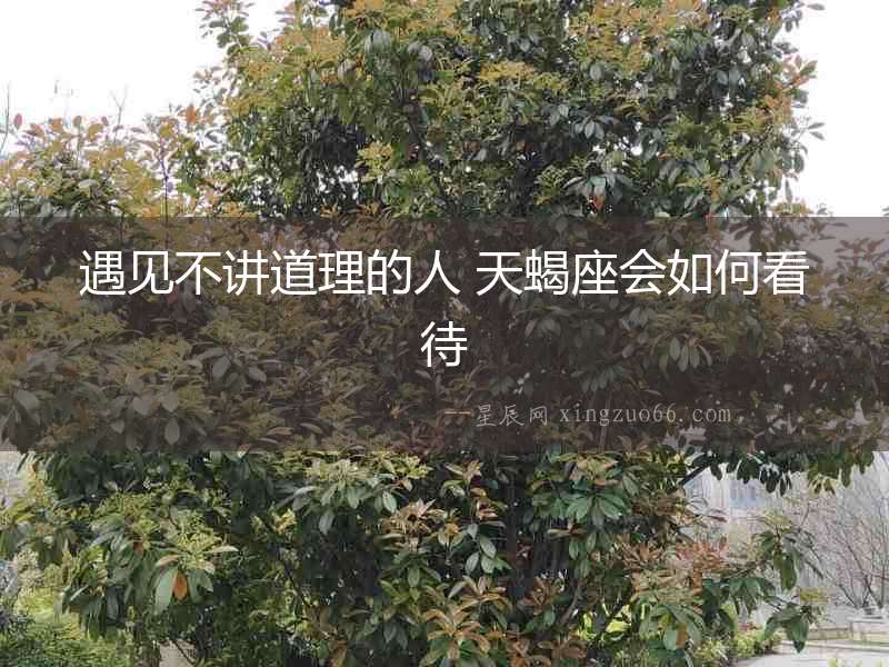 遇見不講道理的人 天蝎座會如何看待