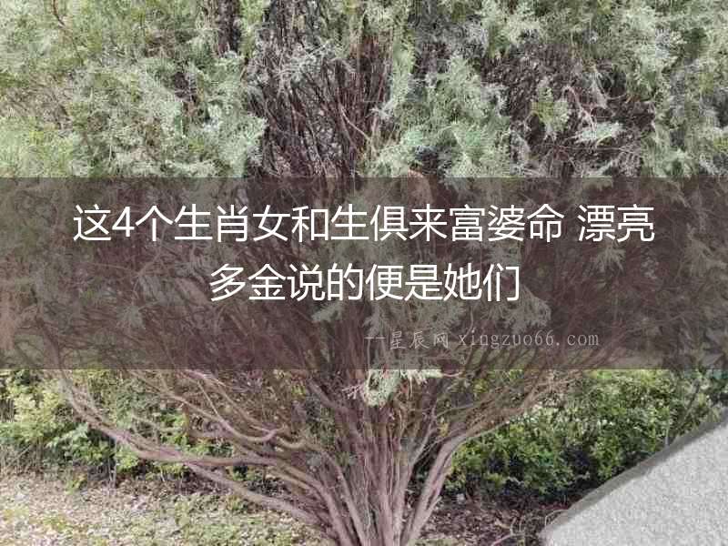 這4個生肖女和生俱來富婆命 漂亮多金說的便是她們