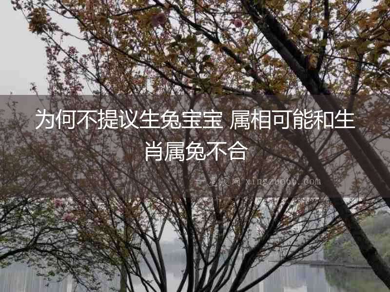 為何不提議生兔寶寶 屬相可能和生肖屬兔不合