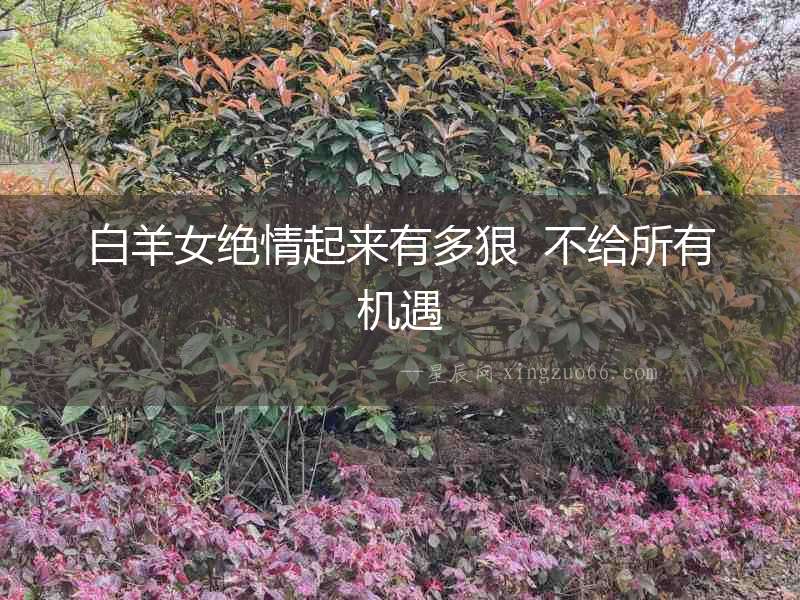 白羊女絕情起來有多狠  不給所有機遇