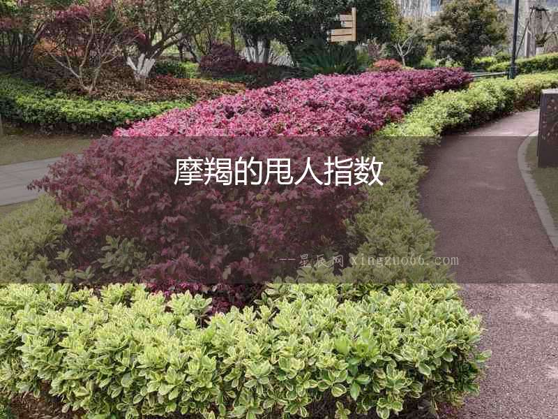 摩羯的甩人指數(shù)