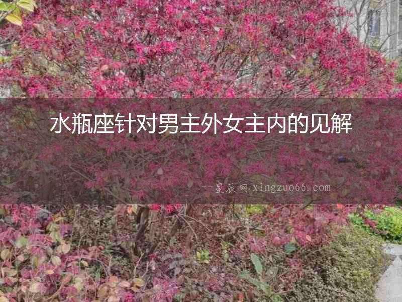 水瓶座針對男主外女主內的見解