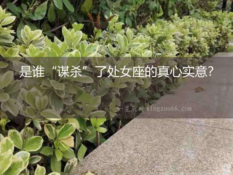 是誰“謀殺”了處女座的真心實意？