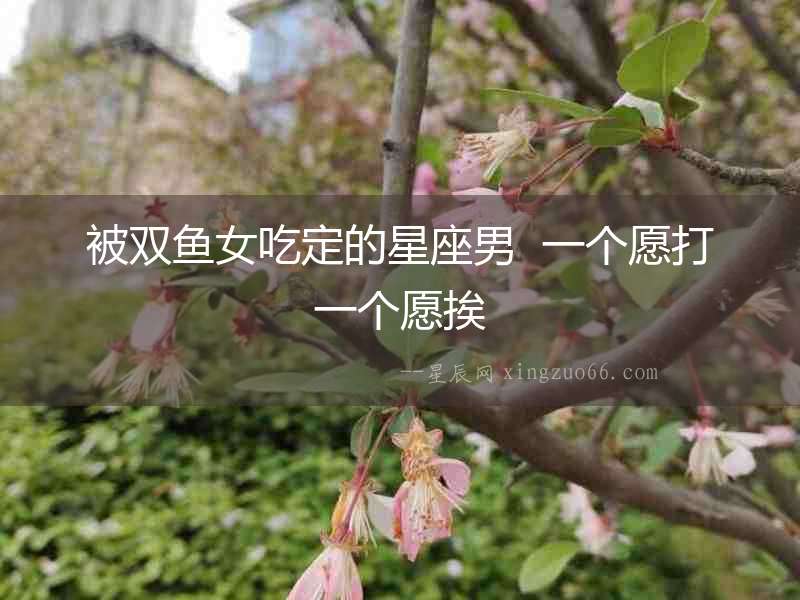 被雙魚女吃定的星座男  一個愿打一個愿挨