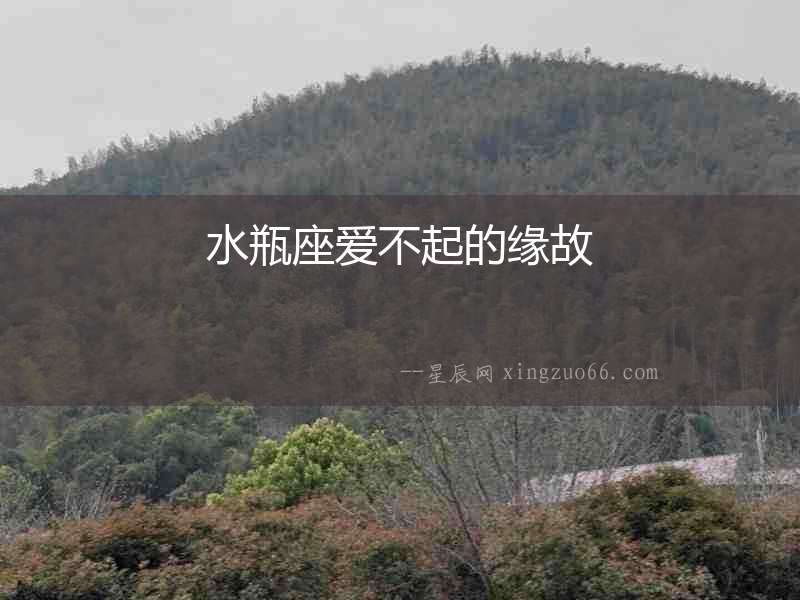水瓶座愛不起的緣故