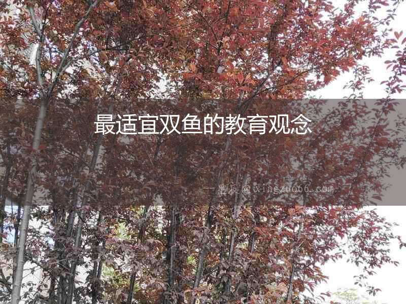 最適宜雙魚的教育觀念