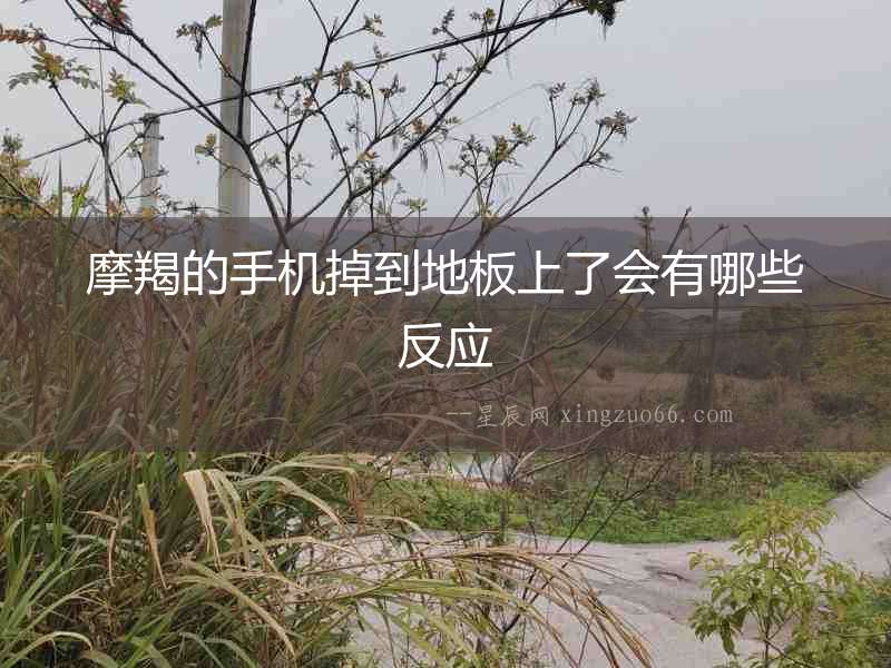 摩羯的手機掉到地板上了會有哪些反應