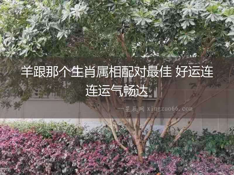 羊跟那個生肖屬相配對最佳 好運連連運氣暢達